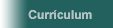 Curriculum de Hezi Zerb