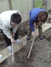 Dos jóvenes arando la tierra